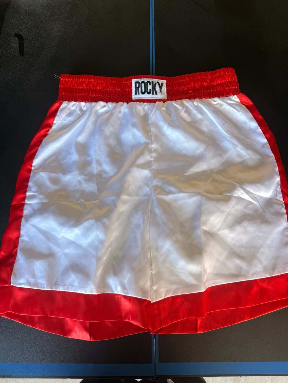 Trick or Treat Studios Rocky Boxing Shorts O/S